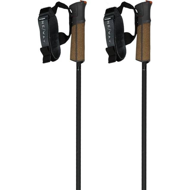 Fischer GT 11 Carbon Mag Poles 125 cm