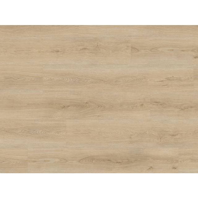 Haro Disano Project Eg Sheffield Puro