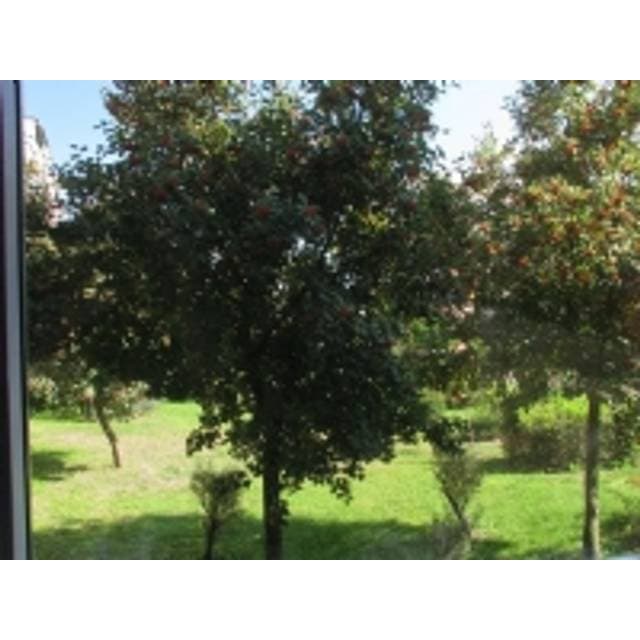 Seagull Cpl Shq Filter 67mm