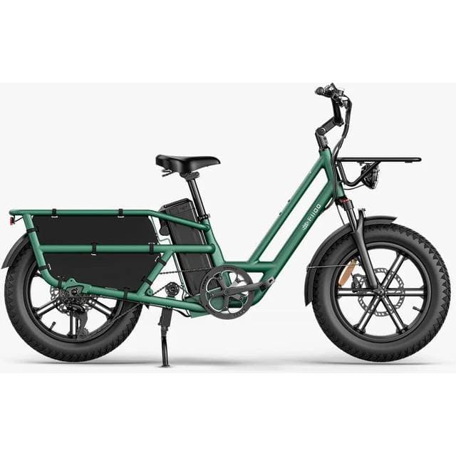 Fiido T2 Longtail Cargo E-bike