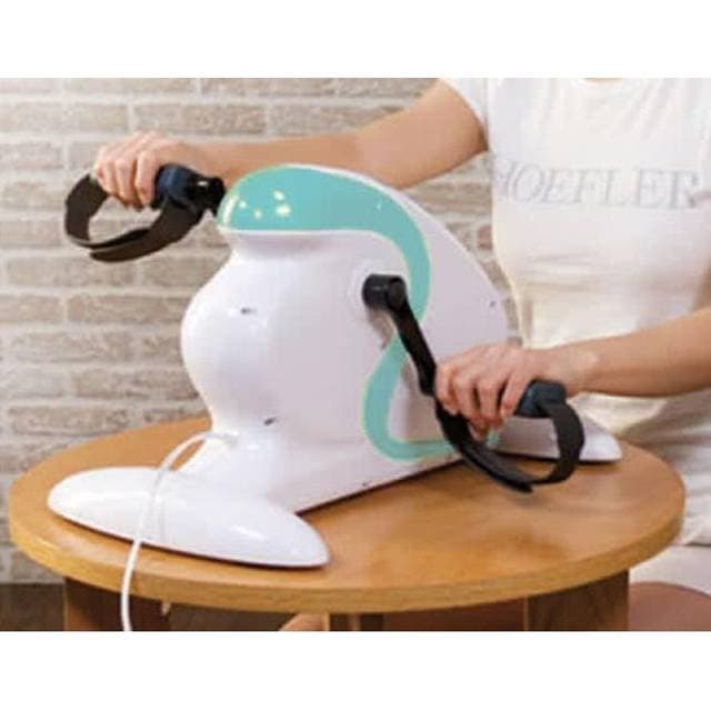 Everfit Welly E Mini Bike