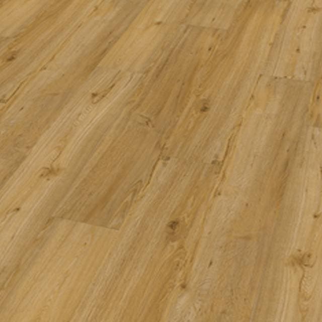 TER HÜRNE Friends Oak Conny Plank