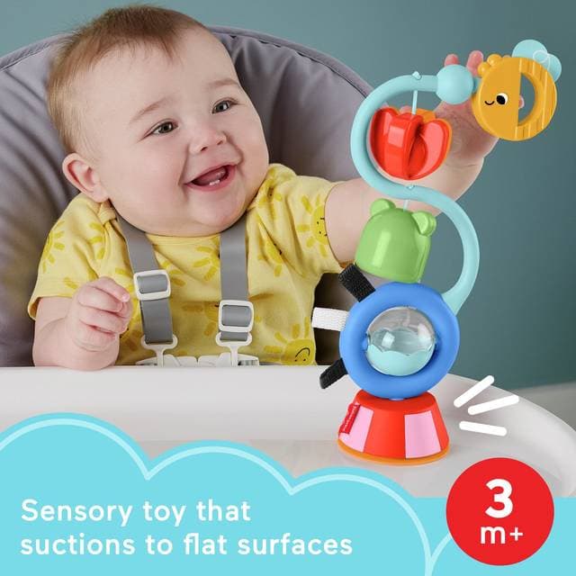 Fisher-Price JHB46 Learning Suction Cup Toy