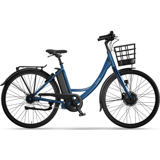 Ecoride C100 Ambassador Gen3 H-7