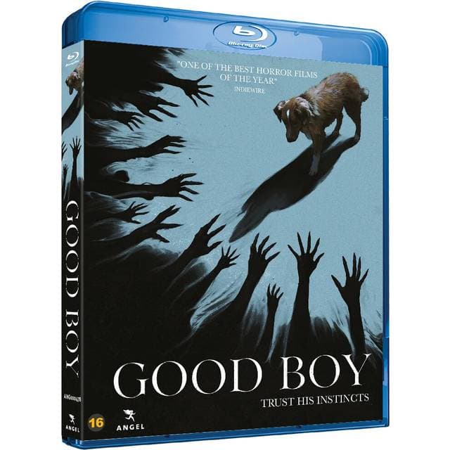 Good Boy Klar Til Levering Prismatch