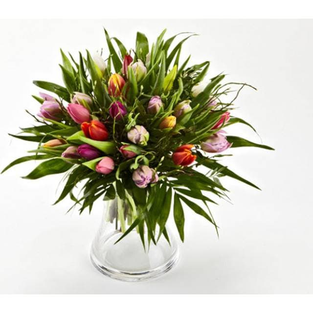 Bloomit Blandede Tulipaner