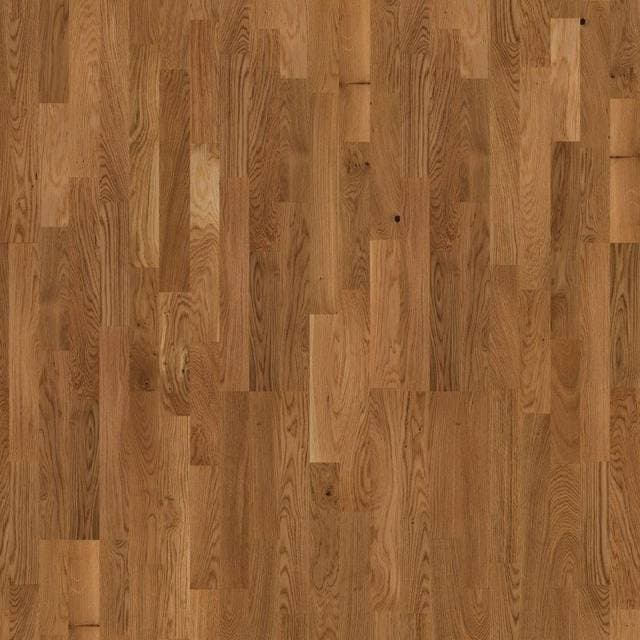 Moland Classic 14962761