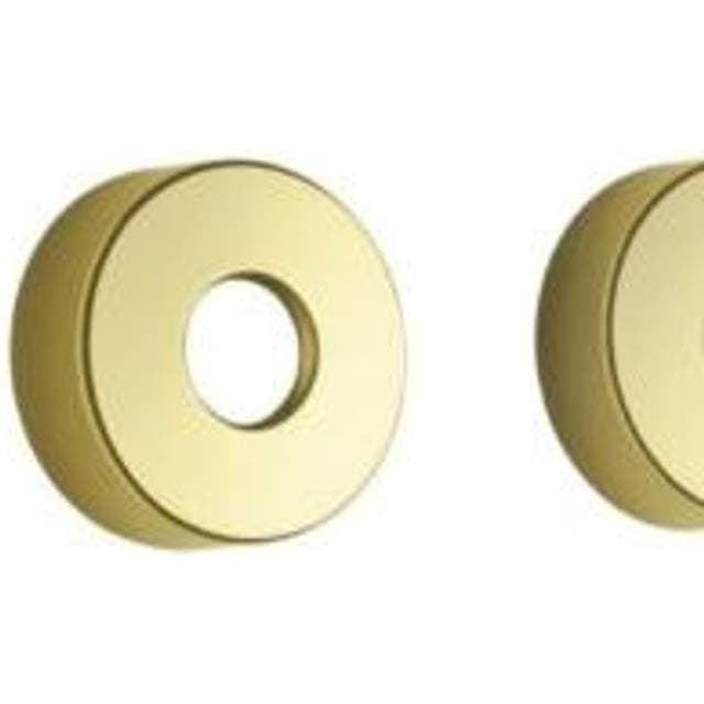 Damixa rosetter (store) Ø75 mm poleret messing