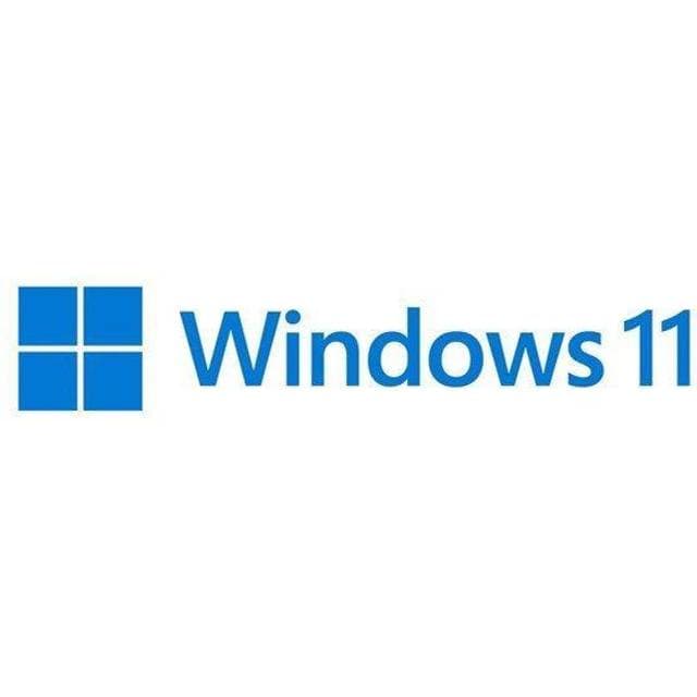 Microsoft Windows 11 Pro 64-bit