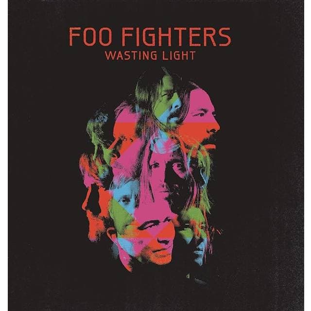 Wasting Light (Vinyl)