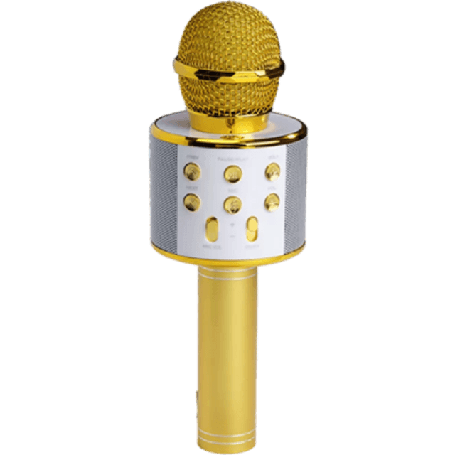 Denver KMS-20G Karaoke