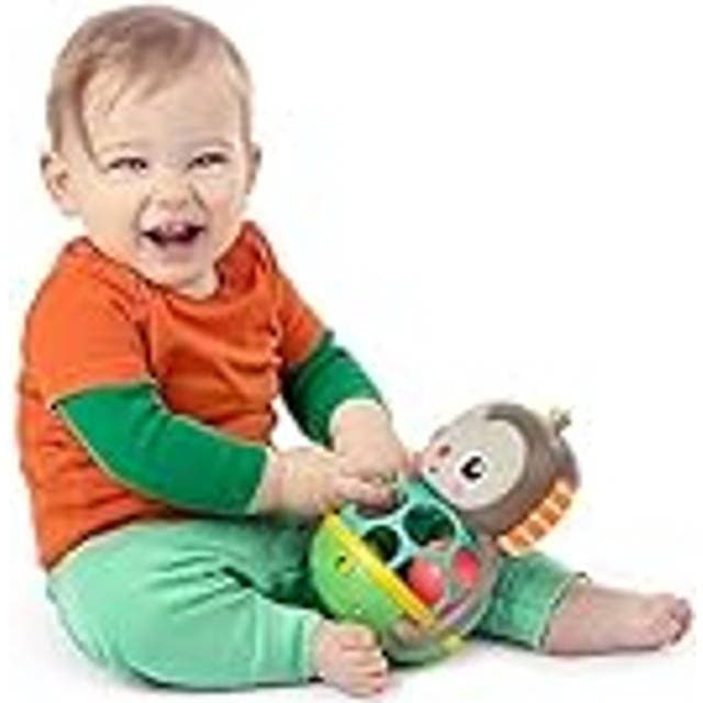 Bright Starts Oball Haps Og Ryst