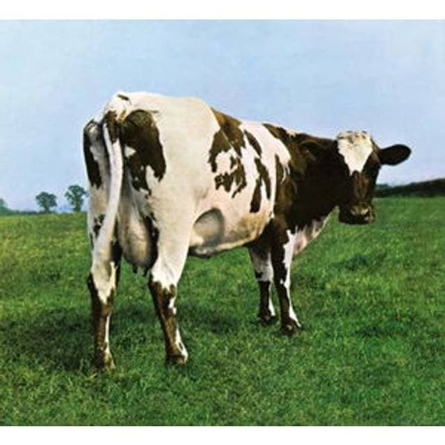 Pink Floyd Atom Heart Mother