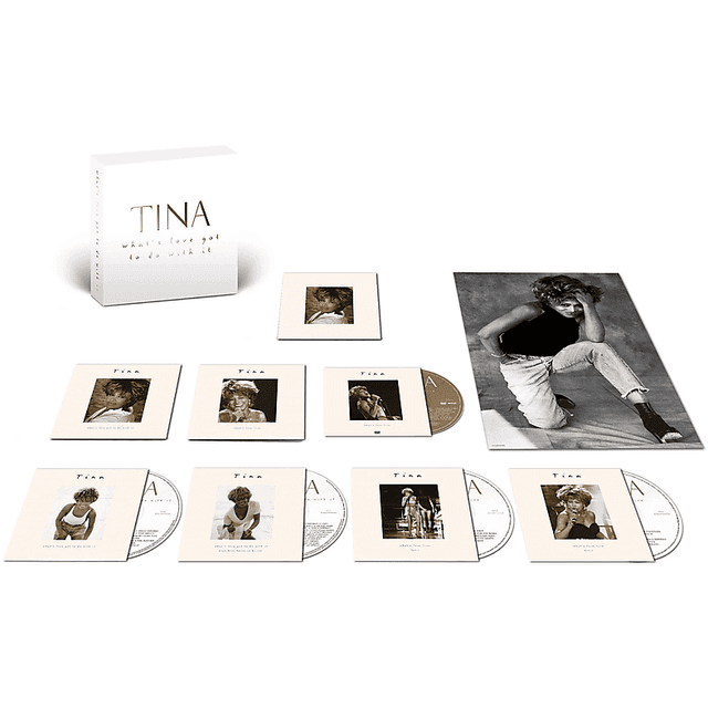Tina Turner What's Love Got to Do with It (CD)