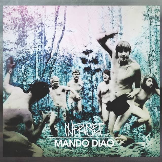 Mando Diao Infruset (CD)