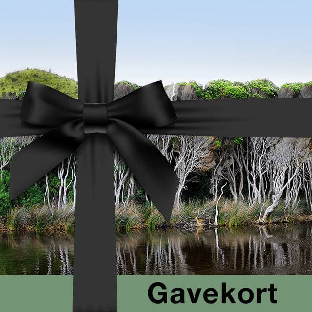 Gavekort til webshop 500