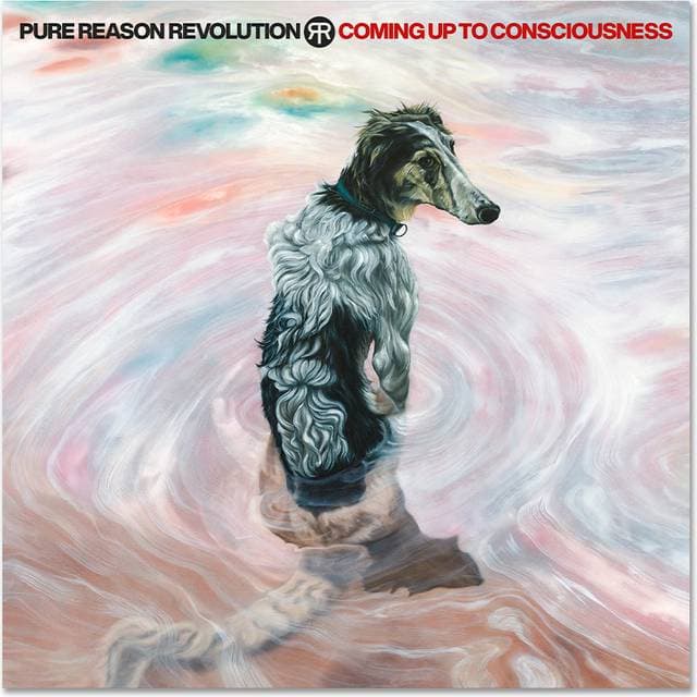 Coming Up To Consciousness Pure Reason Revolution (CD)