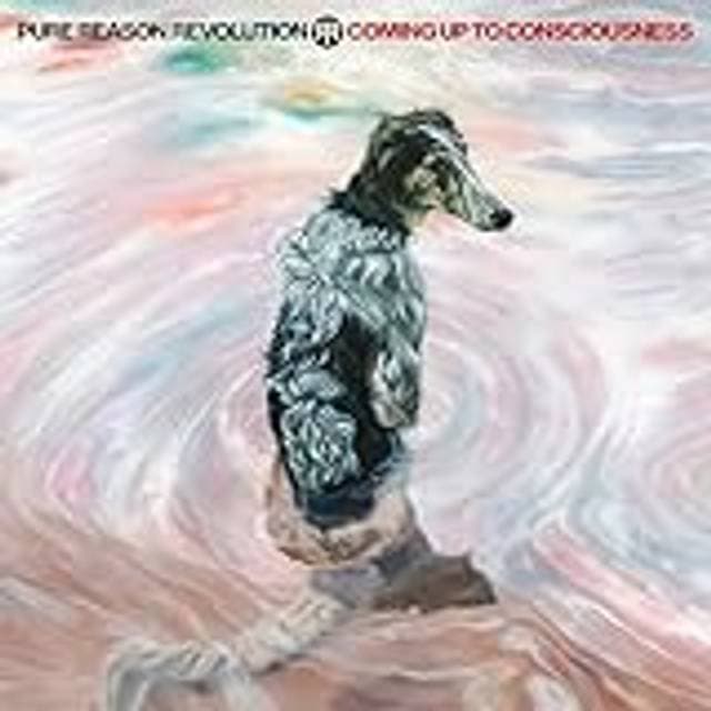 Pure Reason Revolution Coming up to consciousness Unisex Standard (CD)