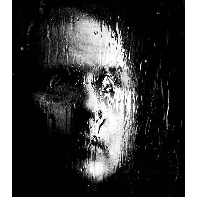 I Want Blood Jerry Cantrell (CD)