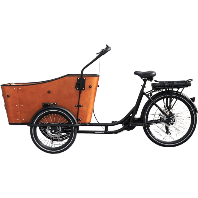 Amladcykler Ultimate Harmony Electric Charging Bike Matt Black Unisex