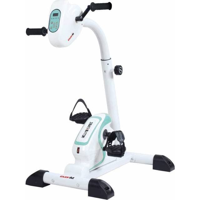 Everfit Welly E Combi Seat Bike