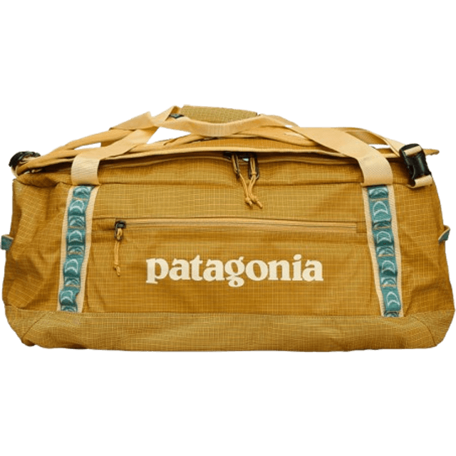 Patagonia Black Hole Duffel 40L - Pufferfish Gold/Yellow