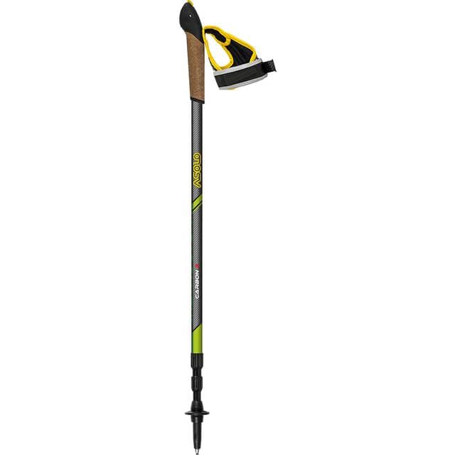 Asolo Instructor Carbon 3 Dlx Poles
