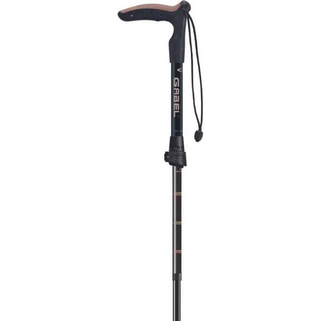 Gabel Explorer Wired F.L XTS Poles