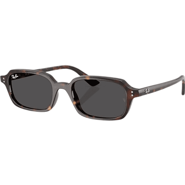 Ray-Ban Zuri RB4455 Uld Stilfulde Solbriller