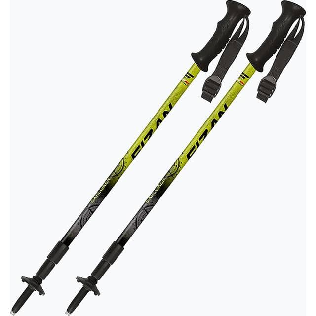 Fizan Explorer Trekkingstöcke Lime Grau 100023