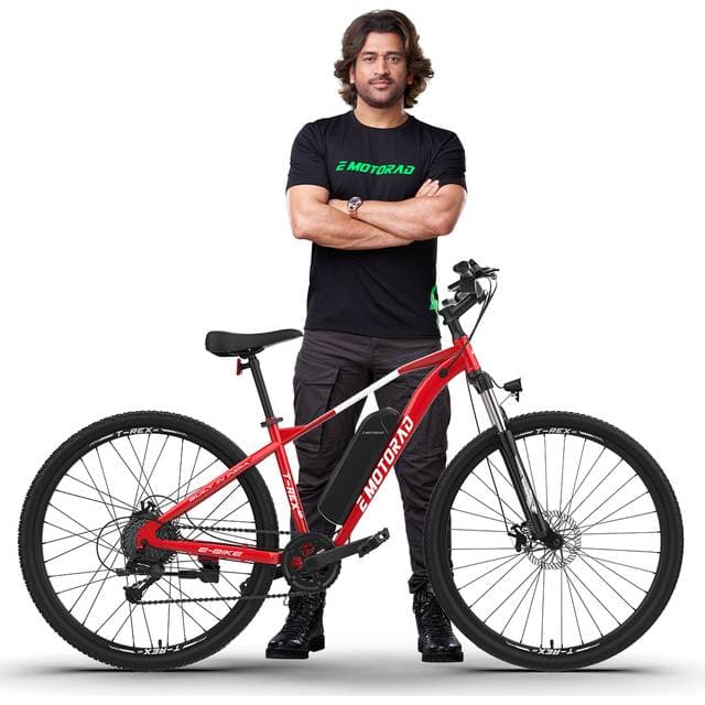 Emotorad T Rex Electric Bike Rot 250Wh