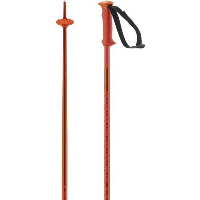 Salomon Polar Cherry Tomato