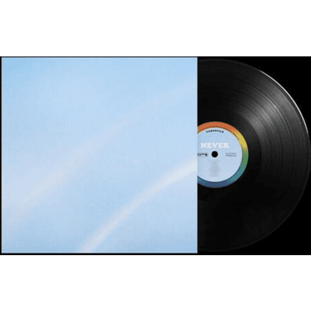 Turnstile (LP) - Never Enough - Unisex - Standard (Vinyl)