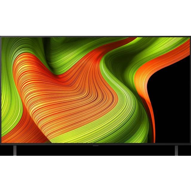 LG 55 Fladskærms TV OLED