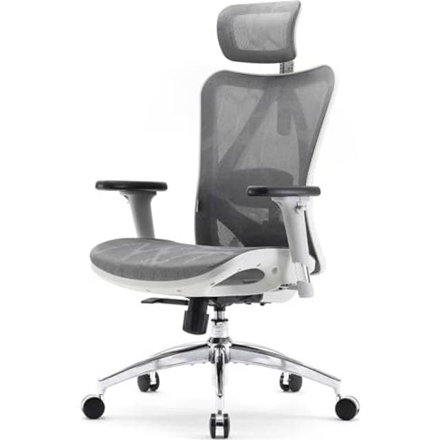 SIHOO Ergonomic Mesh Desk Office Chair