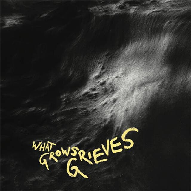 Vingborg Valencia What Grows Grieves LP (Vinyl)