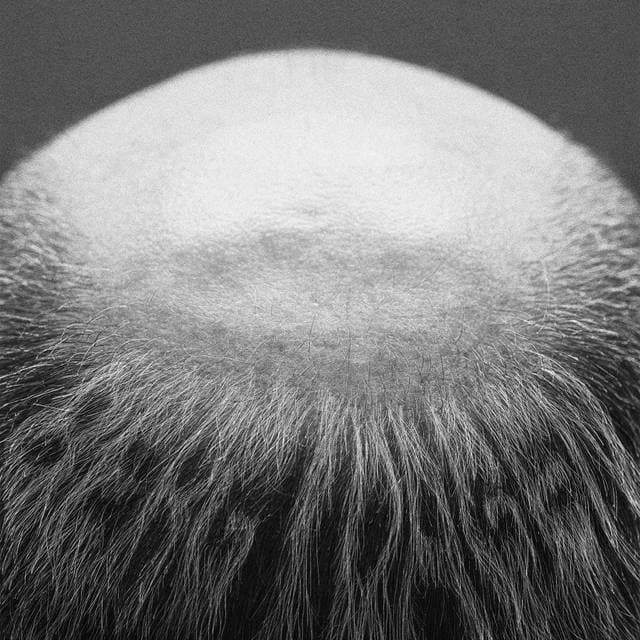 Vasas Flora Och Fauna Berg I Dagen (Vinyl)