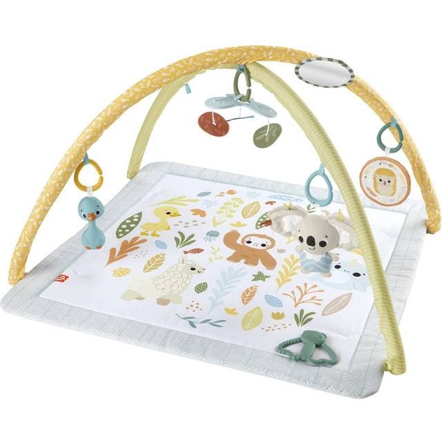 Mattel Fisher Price Sensimals Newborn Gym HRB15