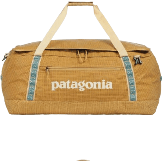 Patagonia Black Hole Duffel 70L - Pufferfish Gold