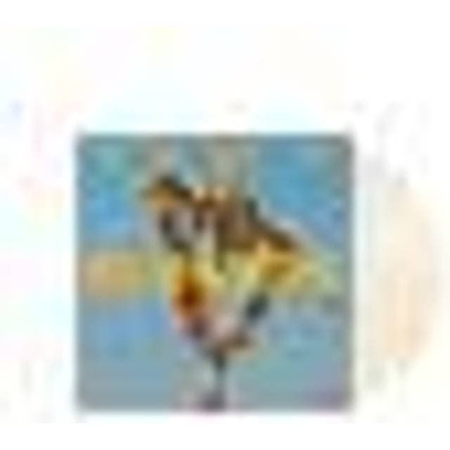 The Devil Wears Prada LP Flowers Unisex Standard (Vinyl)