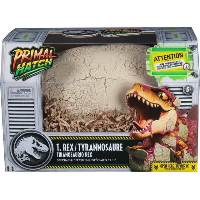 Spin Master Primal Hatch Interactive Hatching Dino 6072462