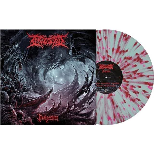 Ingested LP Denigration Ingen Standard (Vinyl)